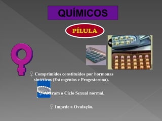 QUÍMICOS
                      PÍLULA




♀ Comprimidos constituídos por hormonas
  sintéticas (Estrogénios e Progesterona).


    ♀ Alteram o Ciclo Sexual normal.

          ♀ Impede a Ovulação.
 