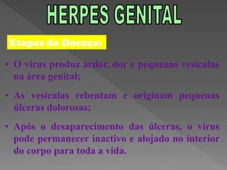 Etapas da Doença:

• O vírus produz ardor, dor e pequenas vesículas
  na área genital;
• As vesículas rebentam e originam pequenas
  úlceras dolorosas;
• Após o desaparecimento das úlceras, o vírus
  pode permanecer inactivo e alojado no interior
  do corpo para toda a vida.
 