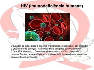 Causador da aids, ataca o sistema imunológico, responsável por defender
o organismo de doenças. As células mais atingidas são os linfócitos T
CD4+. E é alterando o DNA dessa célula que o HIV faz cópias de si
mesmo. Depois de se multiplicar, rompe os linfócitos em busca de outros
para continuar a infecção.
HIV (imunodeficiência humana)HIV (imunodeficiência humana)
 