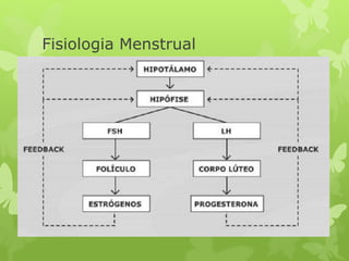 Fisiologia Menstrual
 