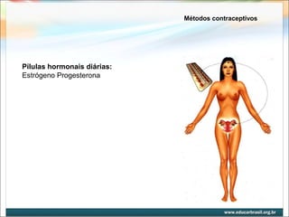 Métodos contraceptivos 
Pílulas hormonais diárias: 
Estrógeno Progesterona 
 