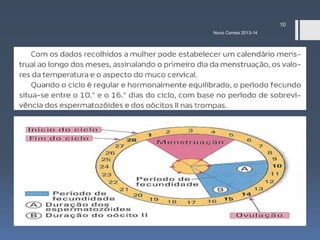 10
Nuno Correia 2013-14

 