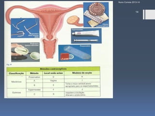 Nuno Correia 2013-14

14

 