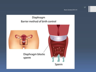17
Nuno Correia 2013-14

 