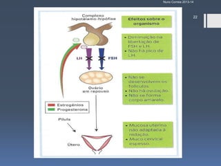 Nuno Correia 2013-14

22

 
