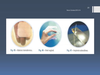 23
Nuno Correia 2013-14

 