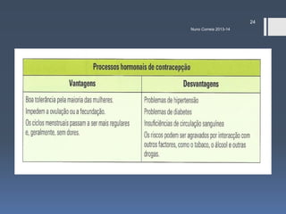 24
Nuno Correia 2013-14

 