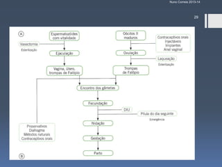 Nuno Correia 2013-14

29

 