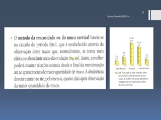 5
Nuno Correia 2013-14

 