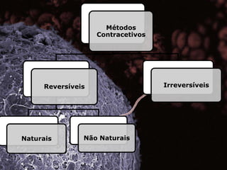 Métodos
                   Contracetivos




     Reversíveis                   Irreversíveis




Naturais       Não Naturais
 