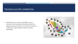 TRIANGULACIÓN AMBIENTAL
 Definida por el uso de localidades, sitios u
horarios o de momentos (durante el día o en
algunas épocas del año), con el fin de evaluar si
el tiempo y lugar influyen sobre los datos
obtenidos.
 