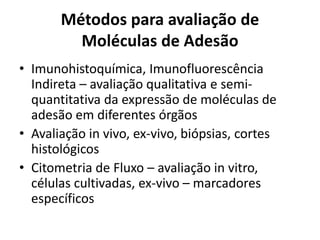 Métodos para avaliação de
Moléculas de Adesão
• Imunohistoquímica, Imunofluorescência
Indireta – avaliação qualitativa e semi-
quantitativa da expressão de moléculas de
adesão em diferentes órgãos
• Avaliação in vivo, ex-vivo, biópsias, cortes
histológicos
• Citometria de Fluxo – avaliação in vitro,
células cultivadas, ex-vivo – marcadores
específicos
 