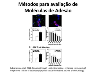 Métodos para avaliação de
Moléculas de Adesão
Subranamian et al. 2012. Signaling through L-selectin mediates enhanced chemotaxis of
lymphocyte subsets to secondary lymphoid tissue chemokine. Journal of Immunology.
 