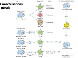 Caracteristicas
gerais
 