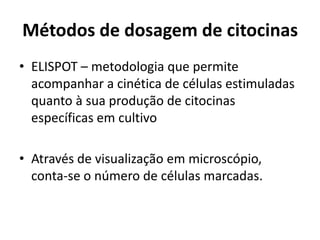 Métodos de dosagem de citocinas
• ELISPOT – metodologia que permite
acompanhar a cinética de células estimuladas
quanto à sua produção de citocinas
específicas em cultivo
• Através de visualização em microscópio,
conta-se o número de células marcadas.
 