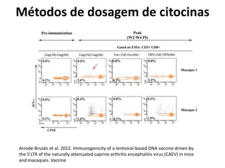 Métodos de dosagem de citocinas
Arrode-Brusés et al. 2012. Immunogenicity of a lentiviral-based DNA vaccine driven by
the 5'LTR of the naturally attenuated caprine arthritis encephalitis virus (CAEV) in mice
and macaques. Vaccine
 