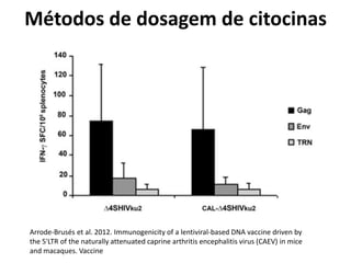 Métodos de dosagem de citocinas
Arrode-Brusés et al. 2012. Immunogenicity of a lentiviral-based DNA vaccine driven by
the 5'LTR of the naturally attenuated caprine arthritis encephalitis virus (CAEV) in mice
and macaques. Vaccine
 