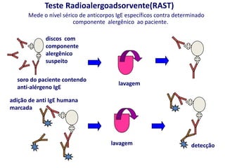 Teste Radioalergoadsorvente(RAST)
Mede o nível sérico de anticorpos IgE específicos contra determinado
componente alergênico ao paciente.
discos com
componente
alergênico
suspeito
soro do paciente contendo
anti-alérgeno IgE
lavagem
adição de anti IgE humana
marcada
lavagem detecção
 