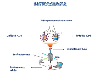 Linfócito TCD4
Anticorpos monoclonais marcados
Linfócito TCD8
Citometria de fluxo
Luz fluorescente
Laser
Contagem das
células
 