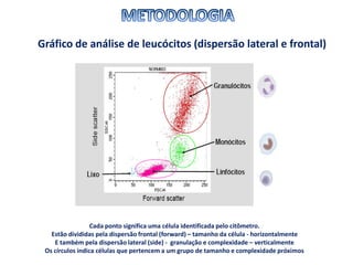 Gráfico de análise de leucócitos (dispersão lateral e frontal)
Cada ponto significa uma célula identificada pelo citômetro.
Estão divididas pela dispersão frontal (forward) – tamanho da célula - horizontalmente
E também pela dispersão lateral (side) - granulação e complexidade – verticalmente
Os círculos indica células que pertencem a um grupo de tamanho e complexidade próximos
 