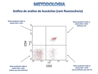 Gráfico de análise de leucócitos (com fluorescência)
Neste quadrante estão as
células CD4+ e CD3-
Neste quadrante estão as
células CD4- e CD3-
(células que não linfócitos)
Neste quadrante estão as
células CD4- e CD3+
(outros linfócitos que não Th)
Neste quadrante estão as
células CD4+ e CD3+
(linfócitos Th)
 