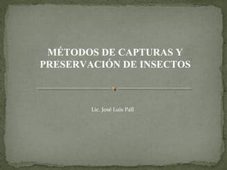 MÉTODOS DE CAPTURAS Y
PRESERVACIÓN DE INSECTOS
Lic. José Luis Pall
 