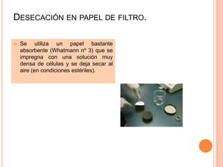 DESECACIÓN EN PAPEL DE FILTRO.

   Se utiliza un papel bastante
    absorbente (Whatmann nº 3) que se
    impregna con una solución muy
    densa de células y se deja secar al
    aire (en condiciones estériles).
 