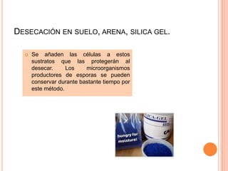 DESECACIÓN EN SUELO, ARENA, SILICA GEL.

     Se añaden las células a estos
      sustratos que las protegerán al
      desecar.     Los    microorganismos
      productores de esporas se pueden
      conservar durante bastante tiempo por
      este método.
 