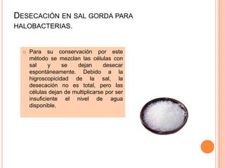 DESECACIÓN EN SAL GORDA PARA
HALOBACTERIAS.


     Para su conservación por este
      método se mezclan las células con
      sal     y    se   dejan       desecar
      espontáneamente. Debido a la
      higroscopicidad de la sal, la
      desecación no es total, pero las
      células dejan de multiplicarse por ser
      insuficiente el nivel de agua
      disponible.
 