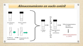 Almacenamiento en suelo estéril
 