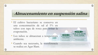 Almacenamiento en suspensión salina
• El cultivo bacteriano se conserva en
una concentración de sal al 1% en
tubos con tapa de rosca para evitar la
evaporación.
• Los tubos se almacenan a temperatura
ambiente.
• Cuando sea necesario, la transferencia
se realiza en Agar Slant.
 