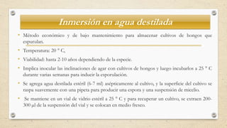 Inmersión en agua destilada
• Método económico y de bajo mantenimiento para almacenar cultivos de hongos que
espurulan.
• Temperatura: 20 ° C,
• Viabilidad: hasta 2-10 años dependiendo de la especie.
• Implica inocular las inclinaciones de agar con cultivos de hongos y luego incubarlos a 25 ° C
durante varias semanas para inducir la esporulación.
• Se agrega agua destilada estéril (6-7 ml) asépticamente al cultivo, y la superficie del cultivo se
raspa suavemente con una pipeta para producir una espora y una suspensión de micelio.
• Se mantiene en un vial de vidrio estéril a 25 ° C y para recuperar un cultivo, se extraen 200-
300 µl de la suspensión del vial y se colocan en medio fresco.
 