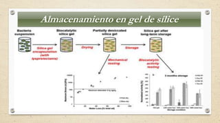 Almacenamiento en gel de sílice
 
