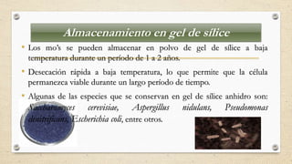 Almacenamiento en gel de sílice
• Los mo’s se pueden almacenar en polvo de gel de sílice a baja
temperatura durante un período de 1 a 2 años.
• Desecación rápida a baja temperatura, lo que permite que la célula
permanezca viable durante un largo período de tiempo.
• Algunas de las especies que se conservan en gel de sílice anhidro son:
Saccharomyces cerevisiae, Aspergillus nidulans, Pseudomonas
denitrificans, Escherichia coli, entre otros.
 