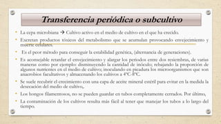 Transferencia periódica o subcultivo
• La cepa microbiana  Cultivo activo en el medio de cultivo en el que ha crecido.
• Excretan productos tóxicos del metabolismo que se acumulan provocando envejecimiento y
muerte celulares.
• Es el peor método para conseguir la estabilidad genética, (alternancia de generaciones).
• Es aconsejable retardar el envejecimiento y alargar los periodos entre dos resiembras, de varias
maneras como por ejemplo: disminuyendo la cantidad de inóculo; rebajando la proporción de
algunos nutrientes en el medio de cultivo; inoculando en picadura los microorganismos que son
anaerobios facultativos y almacenando los cultivos a 4ºC-8ºC.
• Se suele recubrir el crecimiento con una capa de aceite mineral estéril para evitar en la medida la
desecación del medio de cultivo,.
• Los hongos filamentosos, no se pueden guardar en tubos completamente cerrados. Por último,
• La contaminación de los cultivos resulta más fácil al tener que manejar los tubos a lo largo del
tiempo.
 