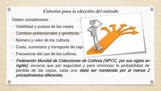 Criterios para la elección del método
Deben considerarse:
• Viabilidad y pureza de las cepas.
• Cambios poblacionales y genéticos.
• Número y valor de los cultivos.
• Costo, suministro y transporte de cepas.
• Frecuencia del uso de los cultivos.
• Federación Mundial de Colecciones de Cultivos (WFCC, por sus siglas en
inglés), enuncia que por seguridad y para minimizar la probabilidad de
pérdida de las cepas, cada una debe ser mantenida por al menos 2
procedimientos diferentes.
 