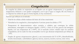 Congelación
Se congelan las células en suspensión en un líquido con un agente crioprotector (y se guardan a
temperaturas inferiores a cero grados centígrados, con lo que el agua se congela. De esta forma, al
no disponer las células de agua en forma líquida, no hay crecimiento.
Factores que influyen en el método:
• Edad de las células: células maduras del inicio de la fase estacionaria
• Velocidad en la congelación y descongelación: Conviene poner las células a 37ºC
• Temperatura de almacenamiento: tubos cerrados o sellados, que contengan las células
microbianas, sumergidos en nitrógeno líquido (–195ºC), o bien en la fase gaseosa del nitrógeno
líquido, con una temperatura de (–140ºC) .En el mercado existen variados tipos de armarios
congeladores, de los cuales los más aconsejables son los que alcanzan temperaturas por debajo de
–70ºC.
• Empleo de agentes crioprotectores: glicerol, a una concentración del 15 al 20%, dimetilsulfóxido,
la leche descremada y carbohidratos (glucosa, lactosa, sacarosa, inositol, sucrosa, entre otros).
 