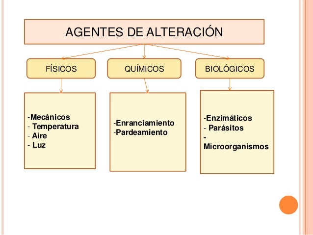 MÉTODOS DE CONSERVACIÓN DE LOS ALIMENTOS