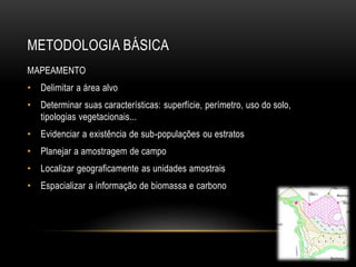 METODOLOGIA BÁSICA 
MAPEAMENTO 
• Delimitar a área alvo 
• Determinar suas características: superfície, perímetro, uso do solo, 
tipologias vegetacionais... 
• Evidenciar a existência de sub-populações ou estratos 
• Planejar a amostragem de campo 
• Localizar geograficamente as unidades amostrais 
• Espacializar a informação de biomassa e carbono 
 