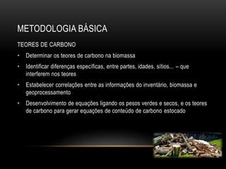 METODOLOGIA BÁSICA 
TEORES DE CARBONO 
• Determinar os teores de carbono na biomassa 
• Identificar diferenças específicas, entre partes, idades, sítios... – que 
interferem nos teores 
• Estabelecer correlações entre as informações do inventário, biomassa e 
geoprocessamento 
• Desenvolvimento de equações ligando os pesos verdes e secos, e os teores 
de carbono para gerar equações de conteúdo de carbono estocado 
 
