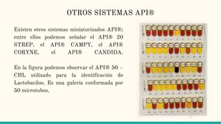 Métodos de diagnóstico en microbiología | PPTX