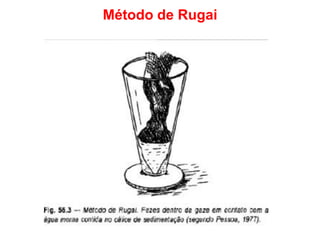 Métodos de diagnósticos em parasitologia | PDF