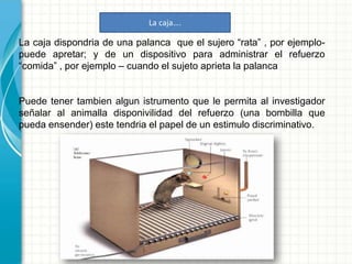 La caja dispondria de una palanca que el sujero “rata” , por ejemplo-
puede apretar; y de un dispositivo para administrar el refuerzo
“comida” , por ejemplo – cuando el sujeto aprieta la palanca
Puede tener tambien algun istrumento que le permita al investigador
señalar al animalla disponivilidad del refuerzo (una bombilla que
pueda ensender) este tendria el papel de un estimulo discriminativo.
La caja….
 