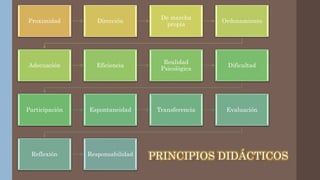 Proximidad Dirección
De marcha
propia
Ordenamiento
Adecuación Eficiencia
Realidad
Psicológica
Dificultad
Participación Espontaneidad Transferencia Evaluación
Reflexión Responsabilidad
PRINCIPIOS DIDÁCTICOS
 