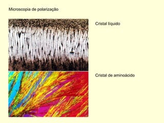 Microscopia de polarização


                             Cristal líquido




                             Cristal de aminoácido
 