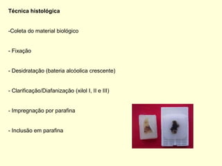 Técnica histológica


-Coleta do material biológico


- Fixação


- Desidratação (bateria alcóolica crescente)


- Clarificação/Diafanização (xilol I, II e III)


- Impregnação por parafina


- Inclusão em parafina
 