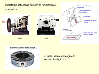 Microtomia (obtenção dos cortes histológicos)
- micrótomo




           antigo                  atual




                                  - Banho Maria (distenção do
                                  cortes histológicos)
 