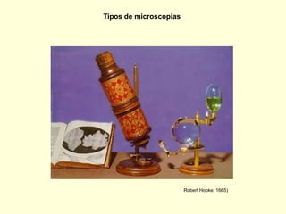 Tipos de microscopias




                        Robert Hooke, 1665)
 