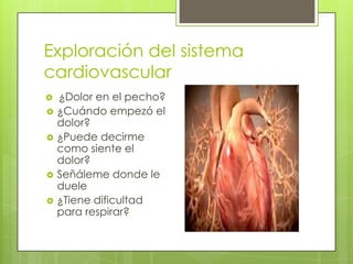 Exploración del sistema
cardiovascular
 ¿Dolor en el pecho?
 ¿Cuándo empezó el
dolor?
 ¿Puede decirme
como siente el
dolor?
 Señáleme donde le
duele
 ¿Tiene dificultad
para respirar?
 