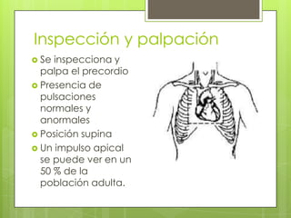 Inspección y palpación
 Se inspecciona y
palpa el precordio
 Presencia de
pulsaciones
normales y
anormales
 Posición supina
 Un impulso apical
se puede ver en un
50 % de la
población adulta.
 